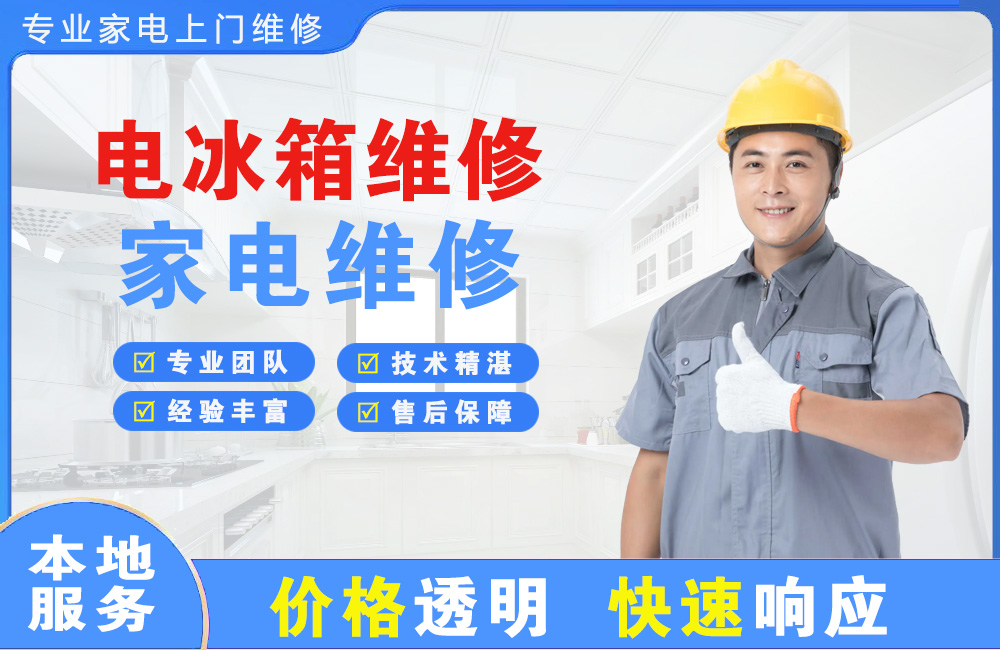 津市电冰箱维修